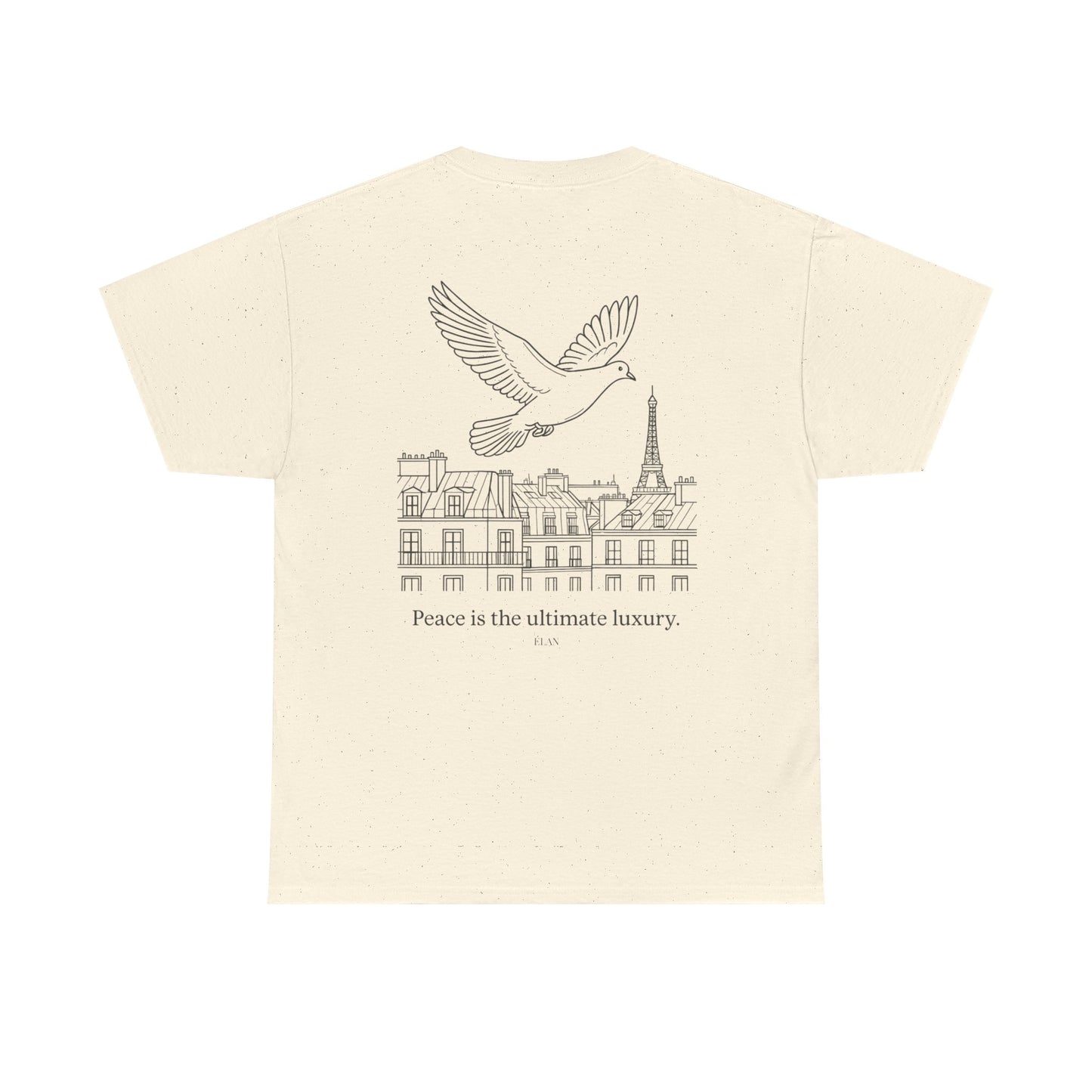 Pigeon Above Paris