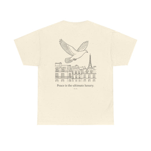 Pigeon Above Paris